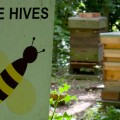 681_beehives_sign 681_beehives_sign