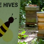 The Beehives, Martineau Gardens