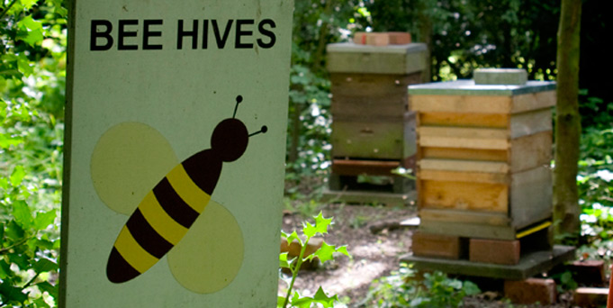 681_beehives_sign The Beehives, Martineau Gardens