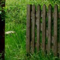 Gate Image