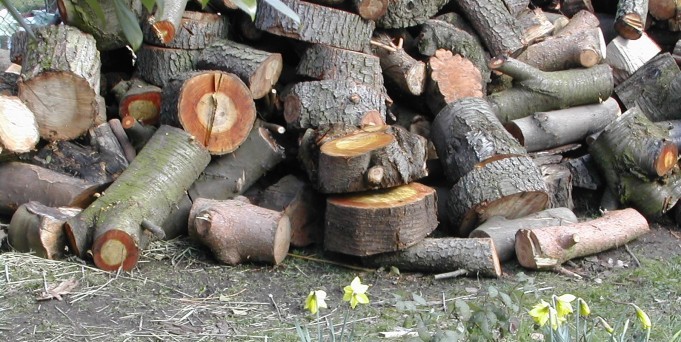 logs