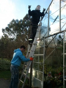 Repairing glass panels on the hot house