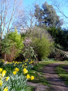 A breath of fresh air at Martineau Gardens