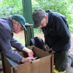 Wildlife volunteers surveying moths in summer at Martineau Gardens