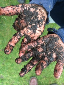 Muddy hands, wildflower seedbomb making